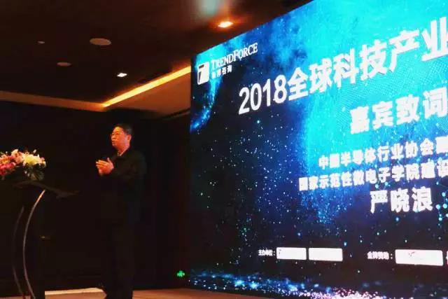 中国半导体行业协会副理事长、国家示范性微电子学院建设专家组组长严晓浪博士-电子元器件采购网